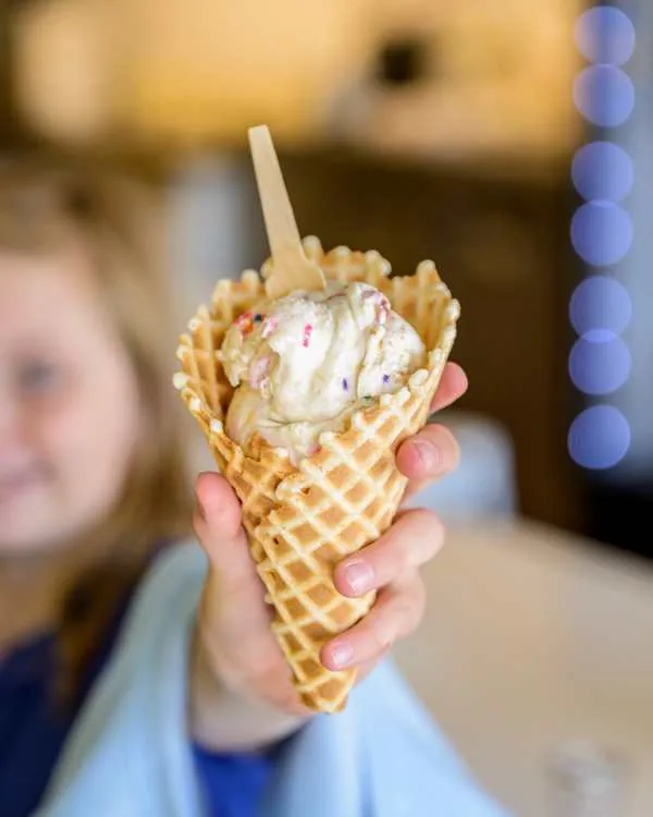 Em's Ice Cream waffle cone with sprinkles